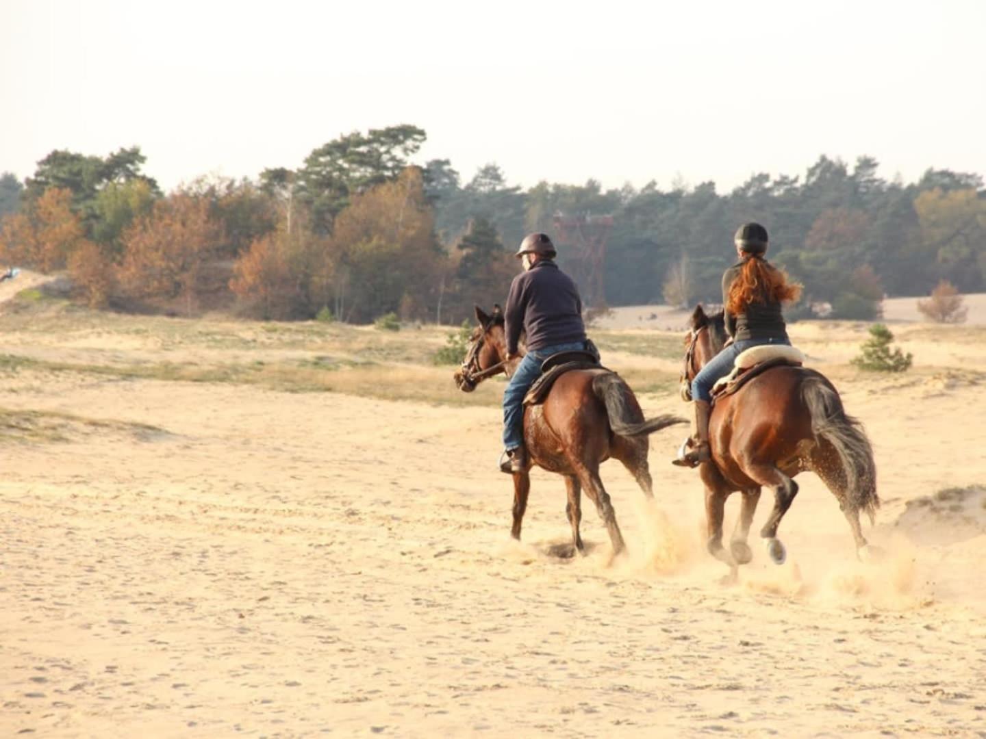 Vakantiehuis Op Rustig Bospark Veluwe فورتهاوزن المظهر الخارجي الصورة