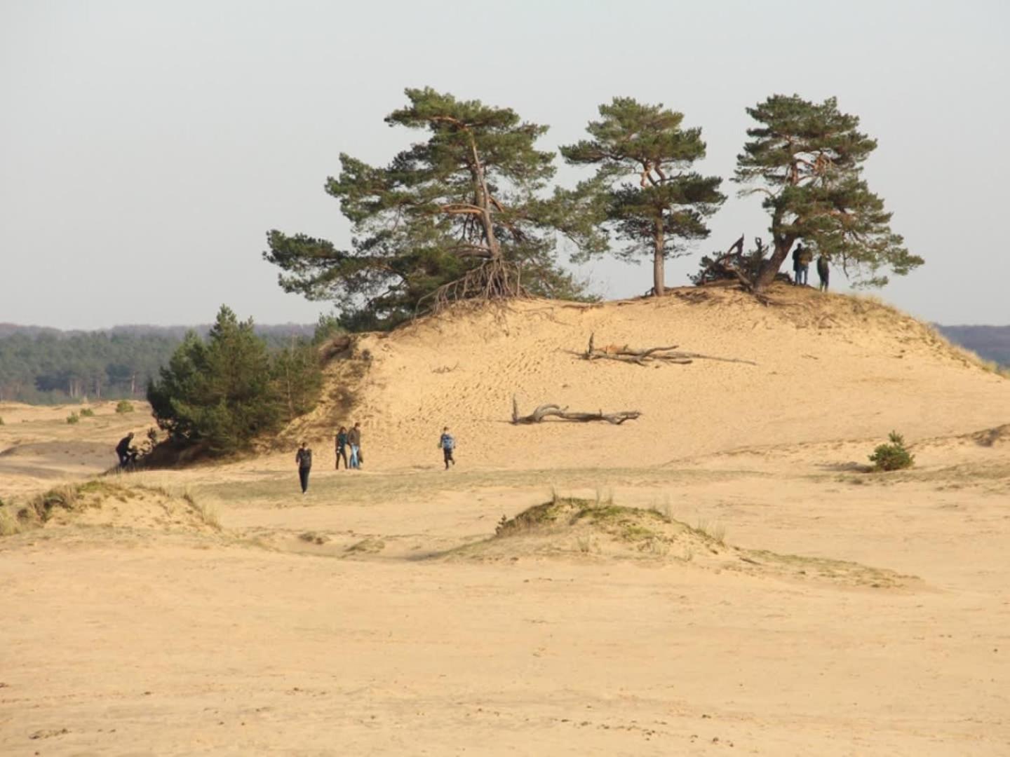 Vakantiehuis Op Rustig Bospark Veluwe فورتهاوزن المظهر الخارجي الصورة