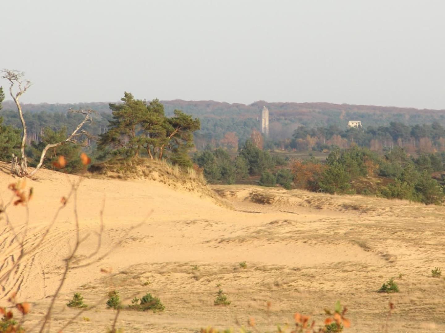 Vakantiehuis Op Rustig Bospark Veluwe فورتهاوزن المظهر الخارجي الصورة