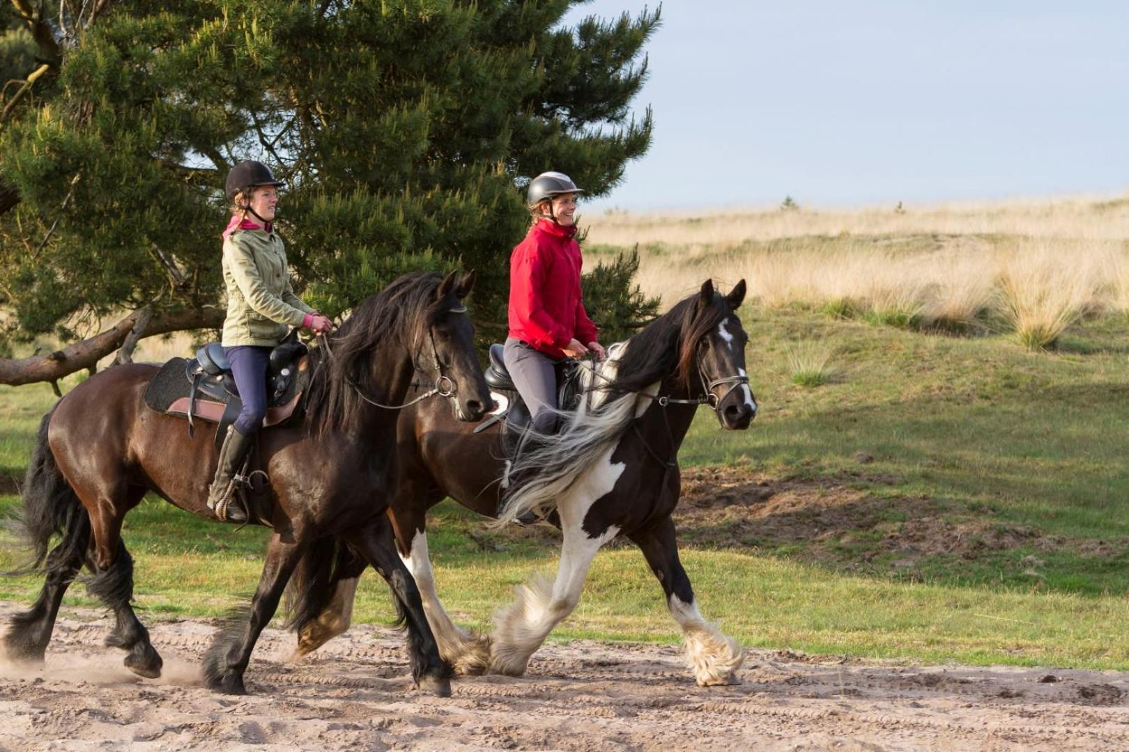 Vakantiehuis Op Rustig Bospark Veluwe فورتهاوزن المظهر الخارجي الصورة