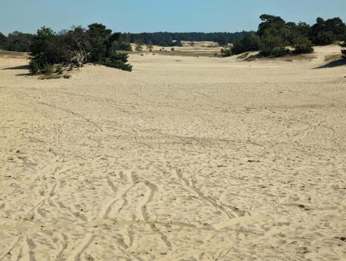 Vakantiehuis Op Rustig Bospark Veluwe فورتهاوزن المظهر الخارجي الصورة