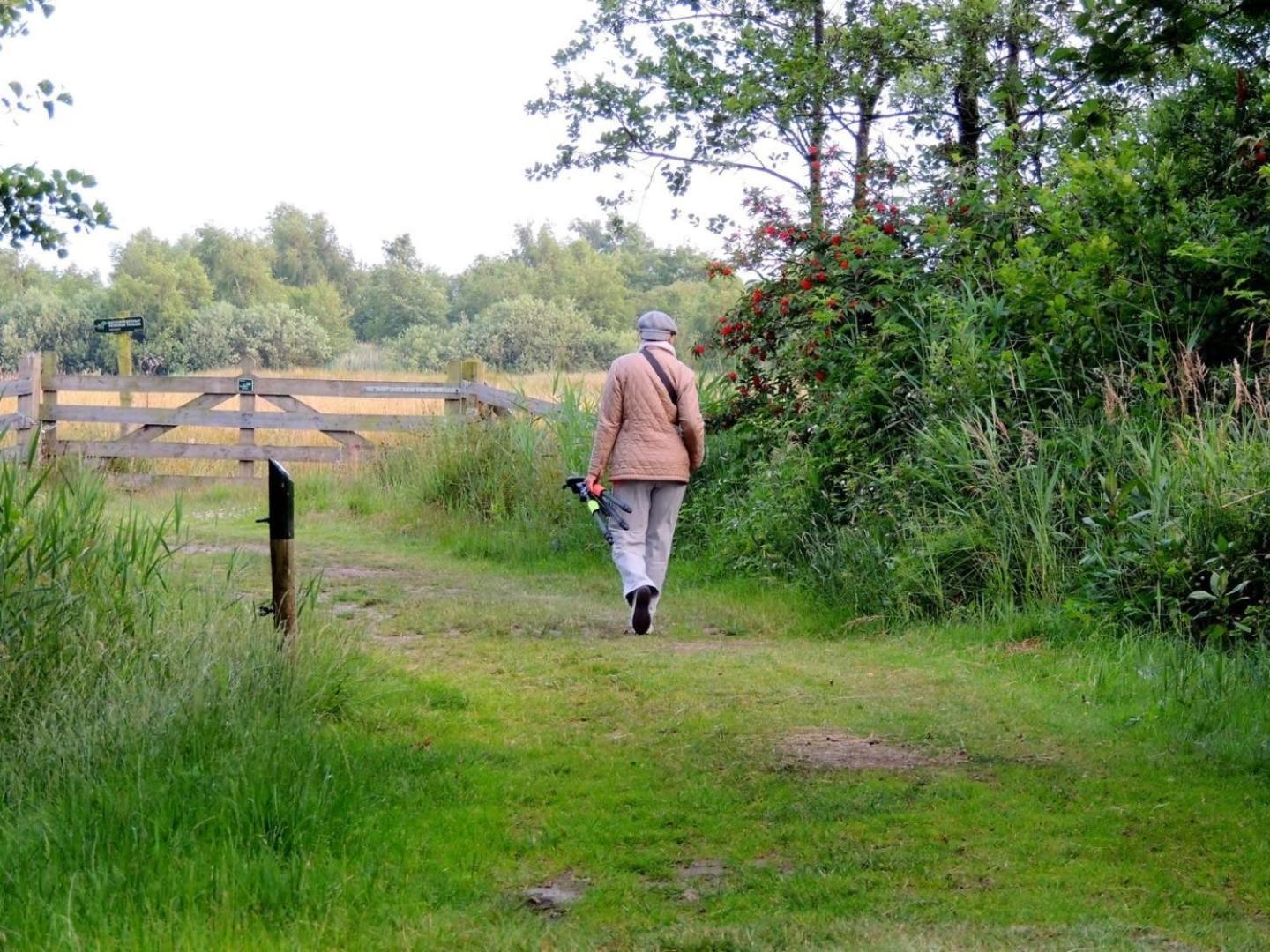 Vakantiehuis Op Rustig Bospark Veluwe فورتهاوزن المظهر الخارجي الصورة