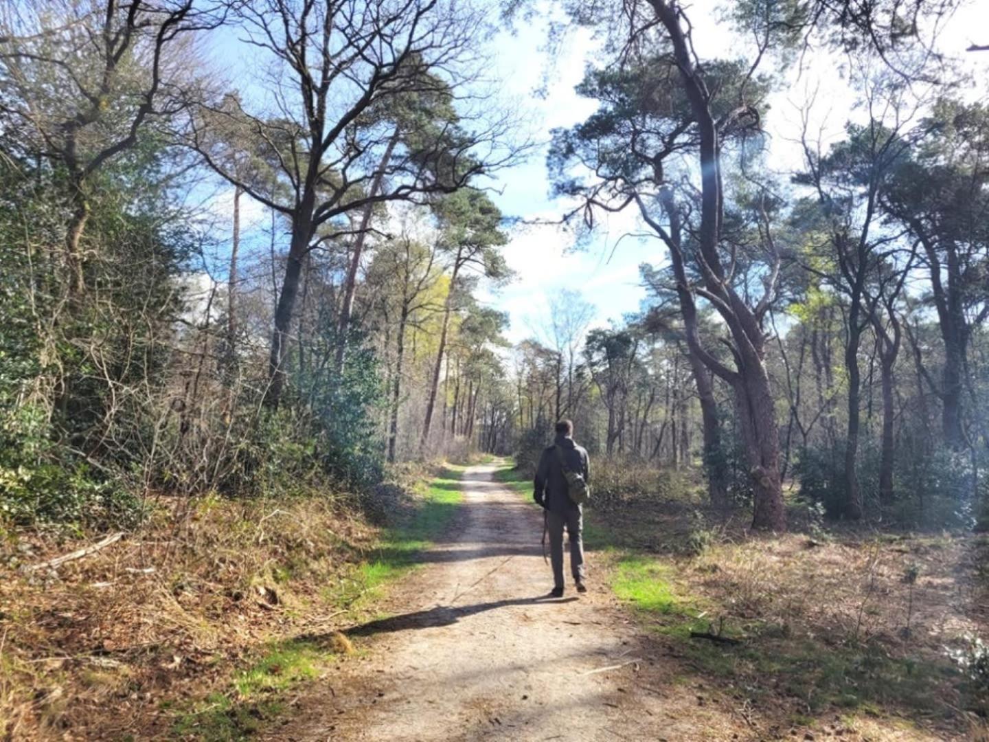 Vakantiehuis Op Rustig Bospark Veluwe فورتهاوزن المظهر الخارجي الصورة
